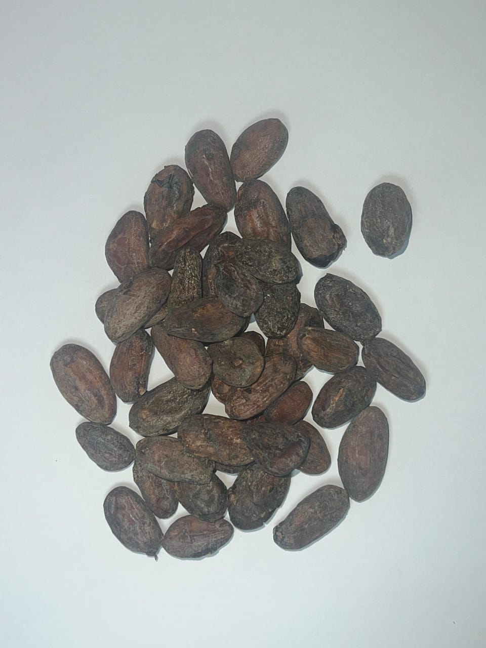Cocoa beans 250gm